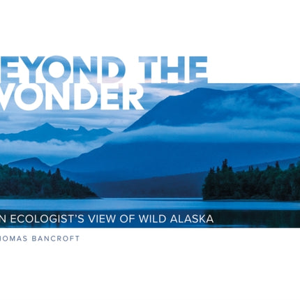 Beyond the Wonder