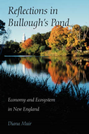 Reflections in Bulloughs Pond Economy and