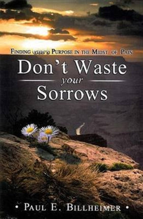 Don't Waste Your Sorrows