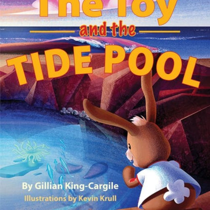 The Toy and the Tide Pool