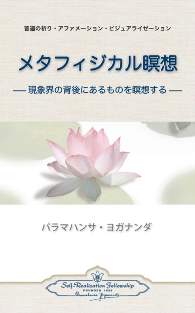 Metaphysical Meditations Japanese