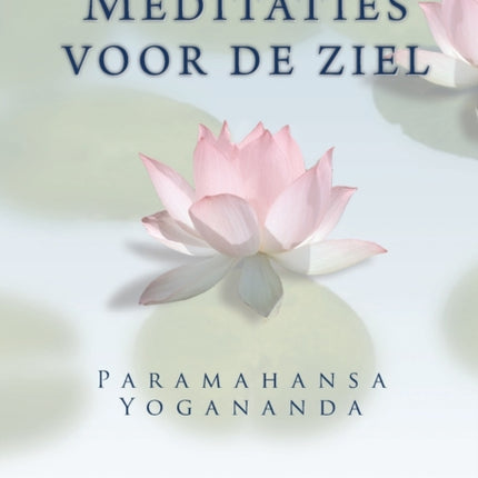 Metaphysical Meditations Dutch
