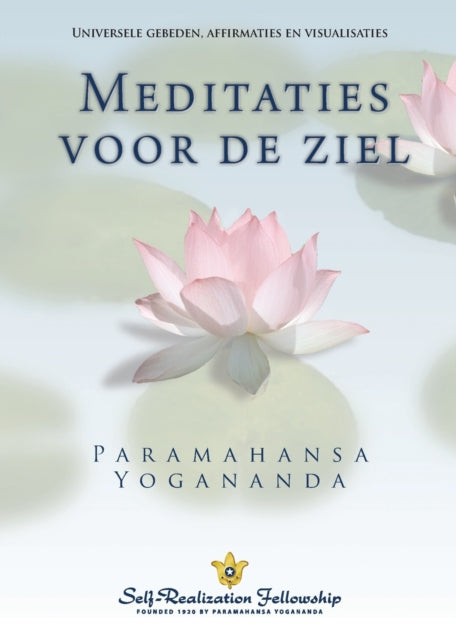 Metaphysical Meditations Dutch