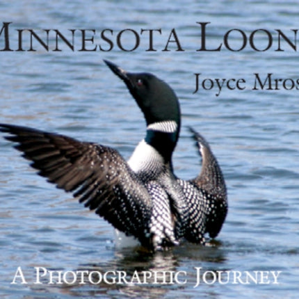 Minnesota Loons