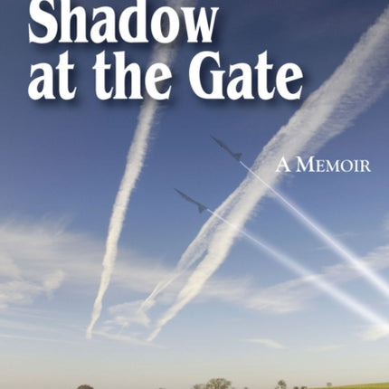 A Shadow at the Gate: Memoir of a DEA Agent