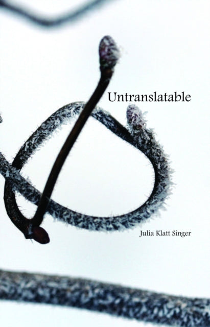 Untranslatable