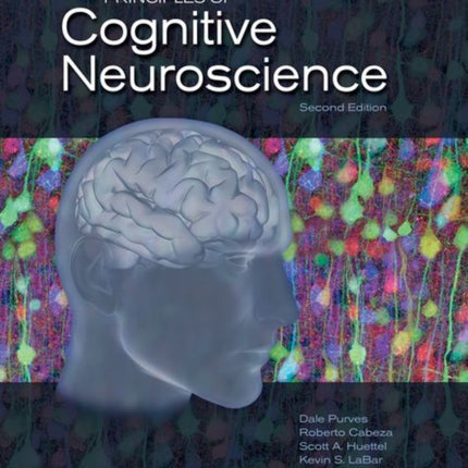 Principles of Cognitive Neuroscience