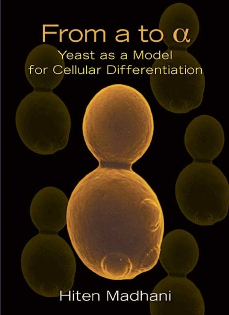 From a to Alpha Yeast as a Model for Cellular