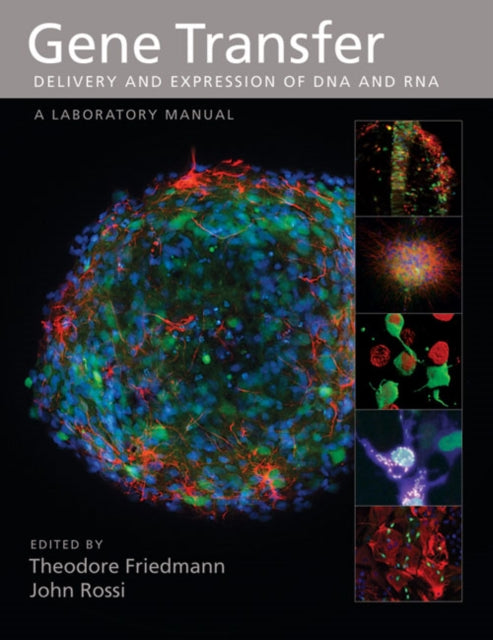 Gene Transfer: Delivery and Expression of DNA and RNA