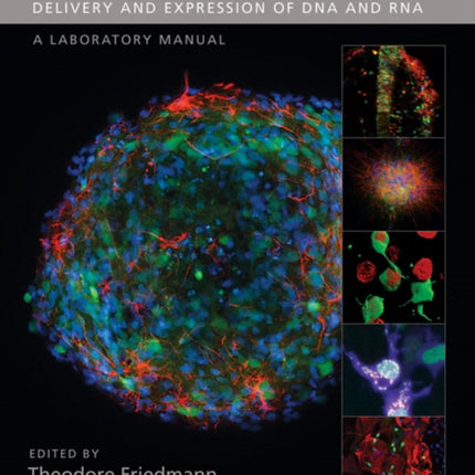 Gene Transfer: Delivery and Expression of DNA and RNA, a Laboratory Manual