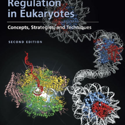 Transcriptional Regulation in Eukaryotes