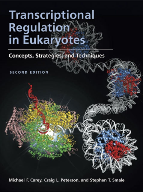 Transcriptional Regulation in Eukaryotes