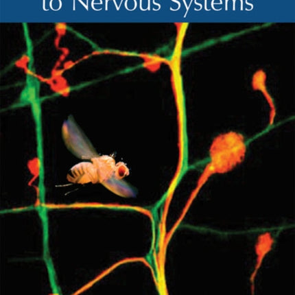 An Introduction to Nervous Systems