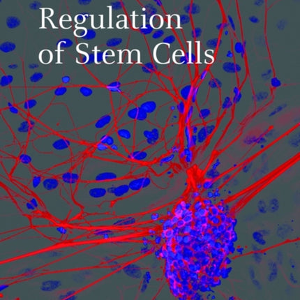 Control and Regulation of Stem Cells