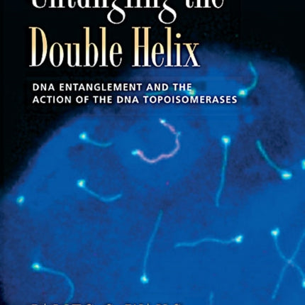 Untangling the Double Helix