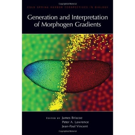 Generation and Interpretation of Morphogen Gradients