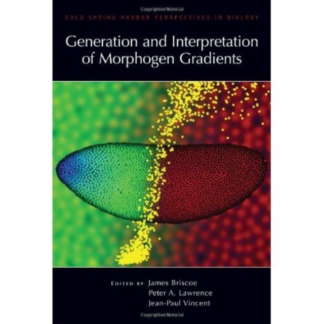 Generation and Interpretation of Morphogen Gradients