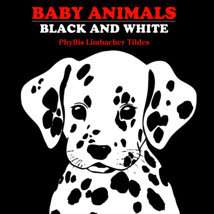 Baby Animals Black and White