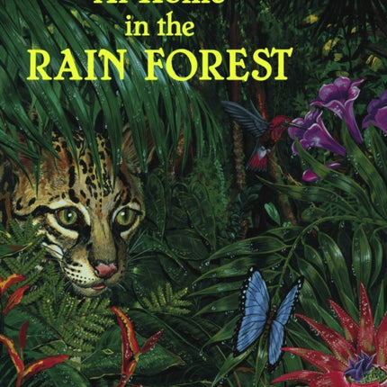 At Home in the Rain Forest