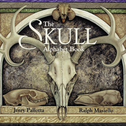 The Skull Alphabet Book