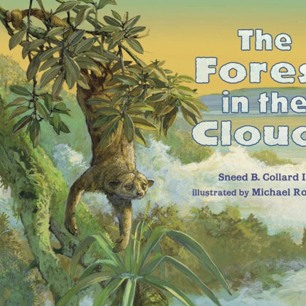 The Forest in the Clouds