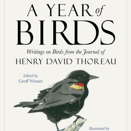 A Year of Birds