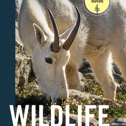 Wildlife of the Pacific Northwest: Tracking and Identifying Mammals, Birds, Reptiles, Amphibians, and Invertebrates