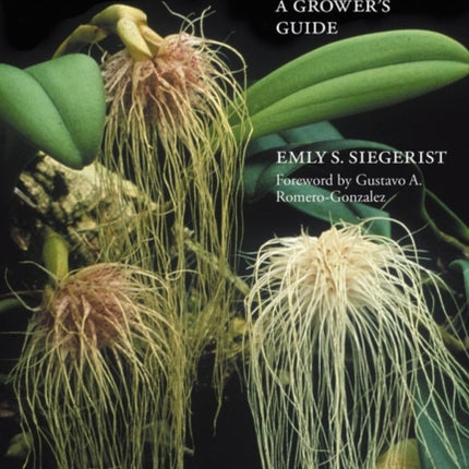 Bulbophyllums and Their Allies