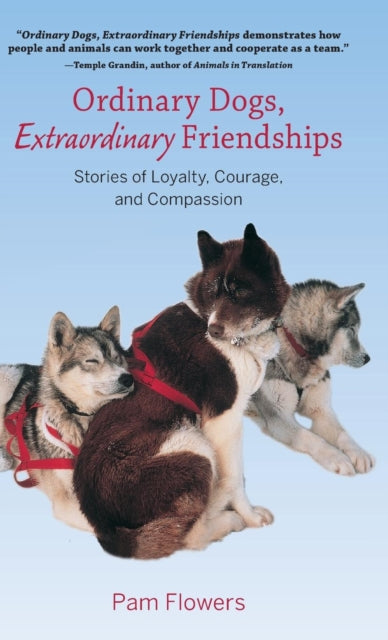 Ordinary Dogs Extraordinary Friendships Stories