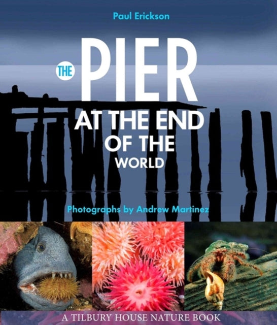 The Pier at the End of the World 0 Tilbury House Nature Book