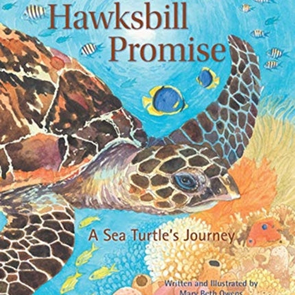 Hawksbill Promise: The Journey of an Endangered Sea Turtle