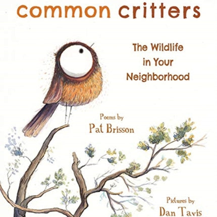 Common Critters: The Wildlife in Your Neighborhood