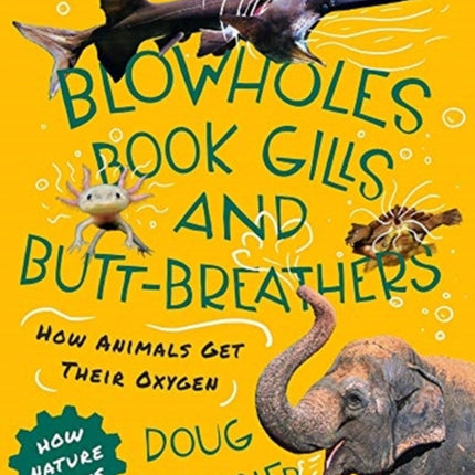 Blowholes, Book Gills, and Butt-Breathers: How Animals Get Their Oxygen