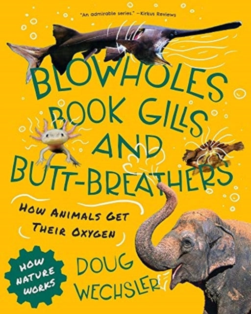 Blowholes, Book Gills, and Butt-Breathers: How Animals Get Their Oxygen