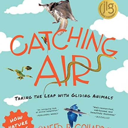 Catching Air  Taking the Leap with Gliding