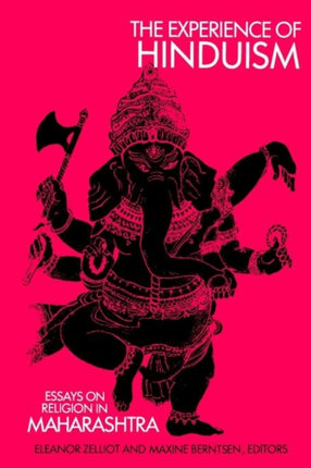 Experience of Hinduism The Essays on Religion in