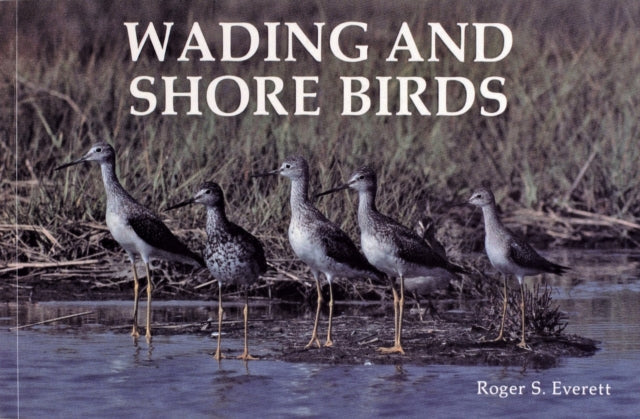 Wading and Shore Birds: A Photographic Study