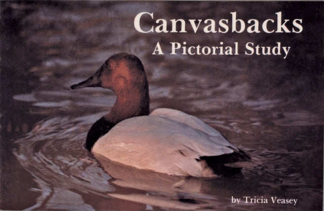 Canvasbacks: A Pictorial Study