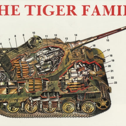 The Tiger Family