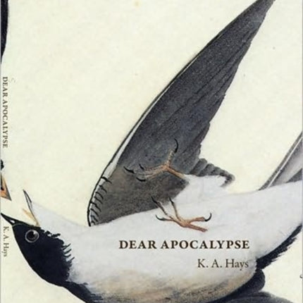 Dear Apocalypse Carnegie Mellon Poetry