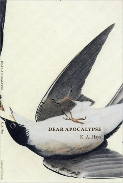 Dear Apocalypse Carnegie Mellon Poetry