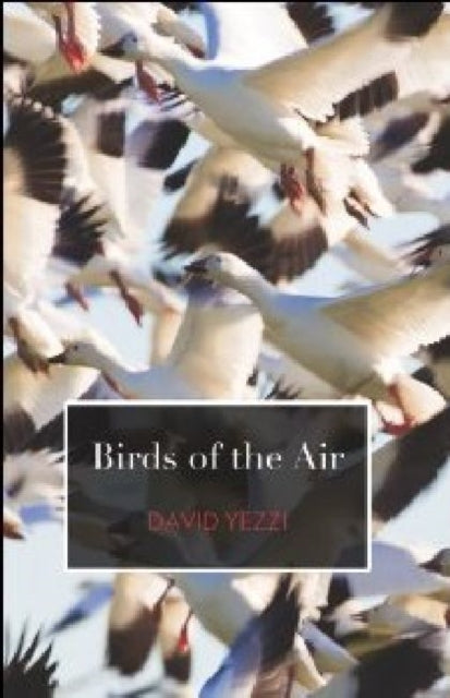 Birds of the Air Carnegie Mellon Poetry