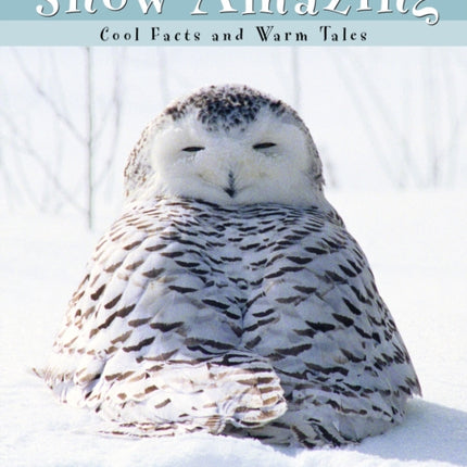 Snow Amazing: Cool Facts and Warm Tales