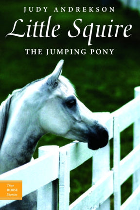 Little Squire: The Jumping Pony