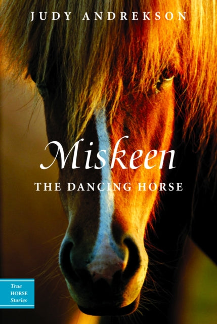 Miskeen: The Dancing Horse