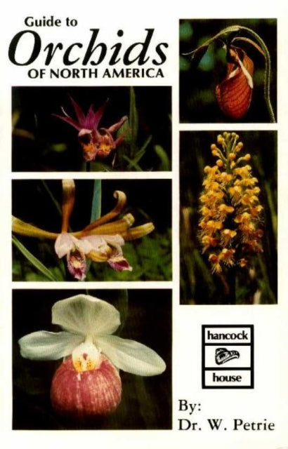 Orchids of North America