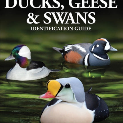 North American Ducks, Geese and Swans: identification guide