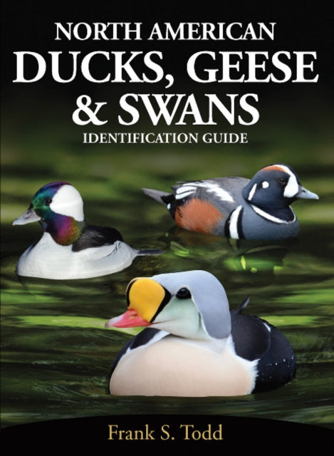 North American Ducks, Geese and Swans: identification guide