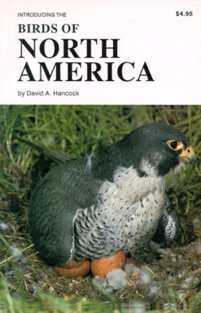 Birds of North America: Introducing the