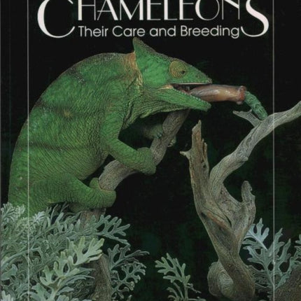 Chameleons: Their Care and Breeding